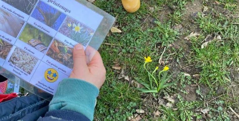 M2/M3 – Le réveil du printemps