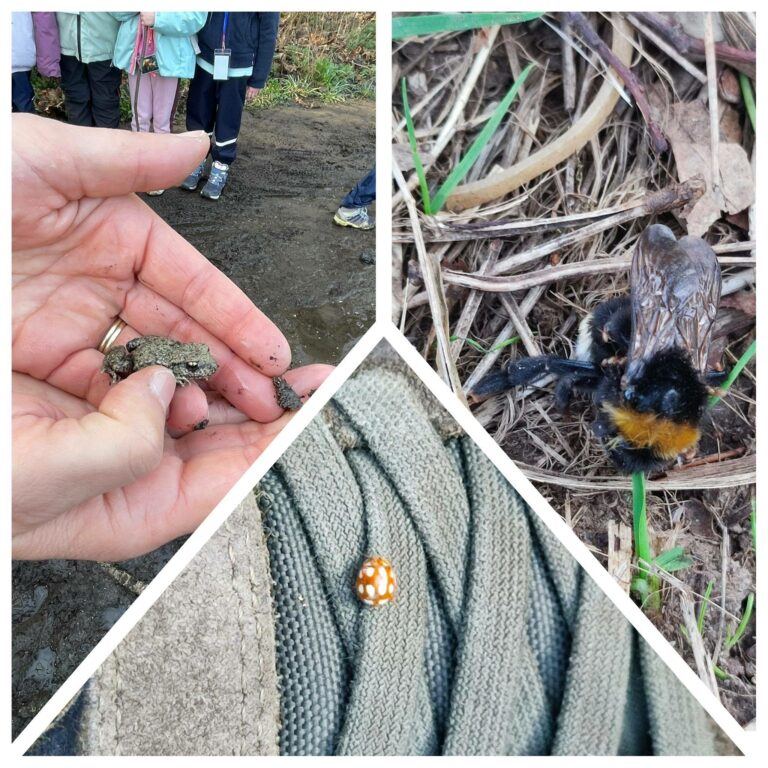 P1/P2 – Une semaine bien chargée en découvertes