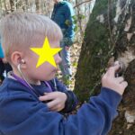 Le bouleau et le noisetier