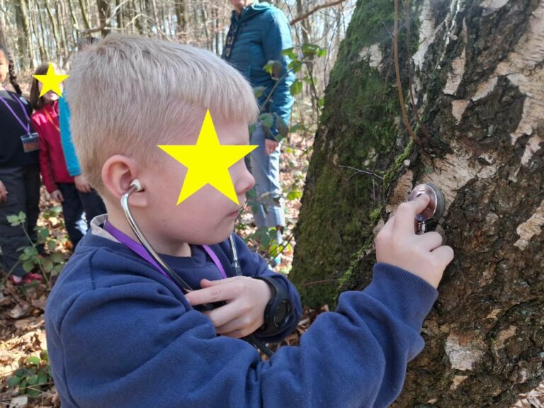 Le bouleau et le noisetier