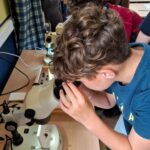 P5/P6 – Le bourdon