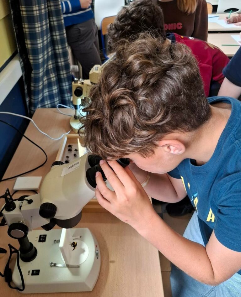 P5/P6 – Le bourdon