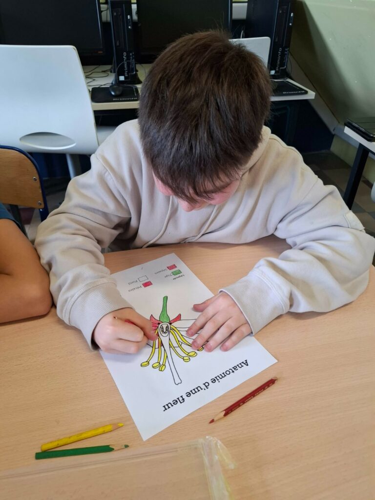 Le projet « Pollinisateurs » bat son plein