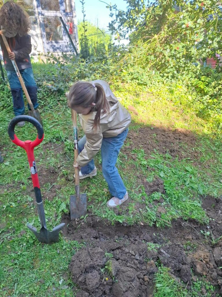 P3-P4 : mise en place d&rsquo;une haie sèche